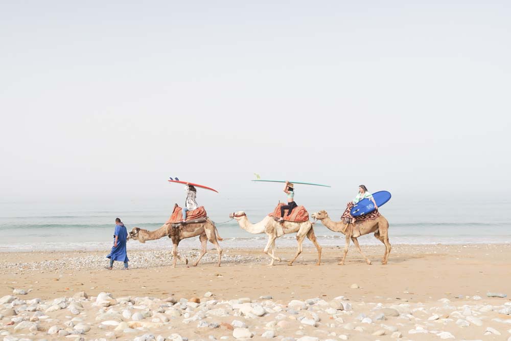 Riding camels in Morocco on a Santosha Society surf and soul escape. 
